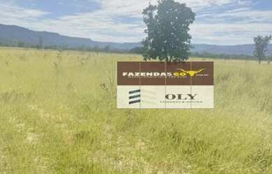 Imagem 2: Fazenda Extra 291 Alq- Região Luiz Eduardo Magalhães com Taguatinga-TO