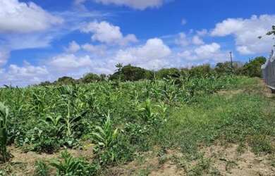 Imagem: A fazenda possui 20.000m² de Área e está localizado em Rio