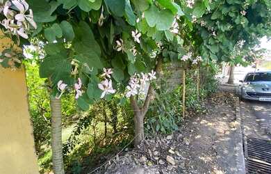 Imagem 7: Terreno à venda, 360 m² por R$ 200.000,00 - São Conrado - Brumadinho/MG