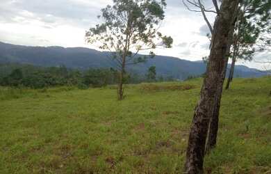 Imagem 4: Lote/Terreno para venda possui 1000 metros quadrados em Jardim Recreio...