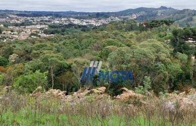 Imagem 5: Área à venda, 86903 m² por R$ 3.200.000,00 - Jardim São Francisco...