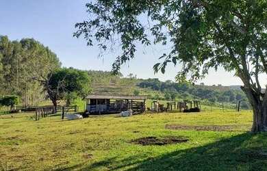 Imagem 9: FAZENDA EM CAMAPUA 15 MIL O HA