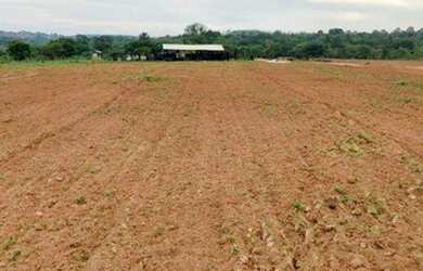 Imagem 14: Fazenda 4 km BR 070 à venda, 9000000 m² por R$ 12.600.000 - Zona Rural...