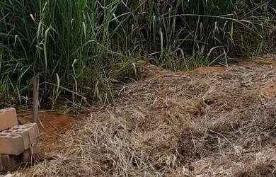 Imagem: O terreno possui 240m² de Área e está localizado em Bethânia