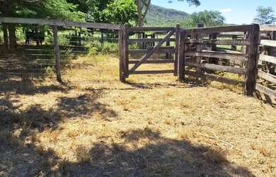 Imagem 7: Fazenda de 114,7 hectares toda plana, toda cercada no arame liso com Rio...