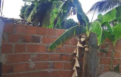 Imagem 9: Casa com quintal com 10 largura e 82 de comprimento