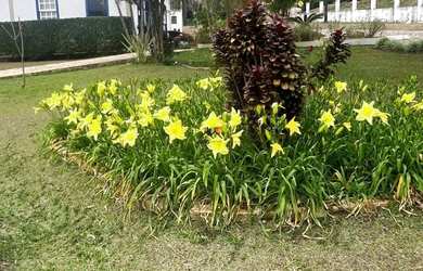 Imagem 14: Lote - Condomínio Paragem Do Tripui