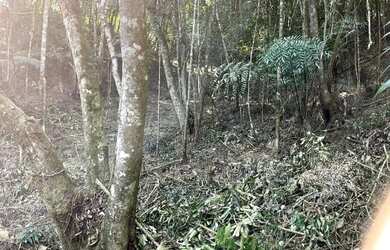 Imagem 5: Terreno com 5.115 m² à venda em Suzano - SP por R$ 169.000,00