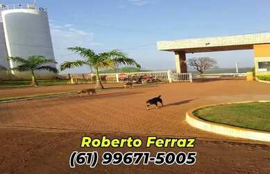 Imagem: O terreno possui 1.000m² de Área e está localizado em Centro