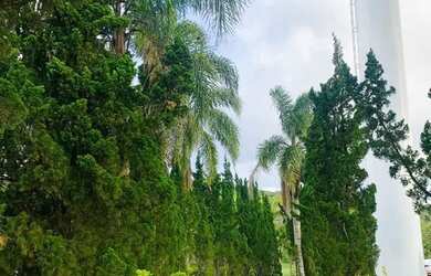 Imagem 14: Venha trazer sua família pra viver aqui. aceito sua moto sob avaliação