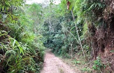 Imagem 3: Terreno com 5.115 m² à venda em Suzano - SP por R$ 169.000,00