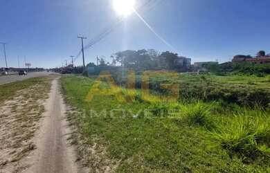 Imagem 13: Área Frente Rodovia Amaral Peixoto Fluminense São Pedro da Aldeia