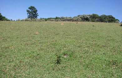 Imagem: O terreno está localizado em Vila Trujillo, Sorocaba à venda