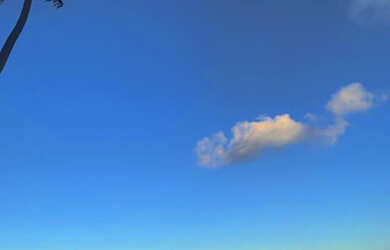 Imagem 5: Casa de praia Paripueira Finados 30/10 - 02/11 - aluga-se por temporada