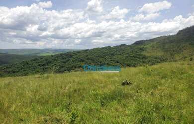 Imagem 5: Fazenda a venda - área real