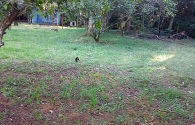 Imagem 2: Lindo sítio meio hectare em Águas claras, com linda casa e salão de...