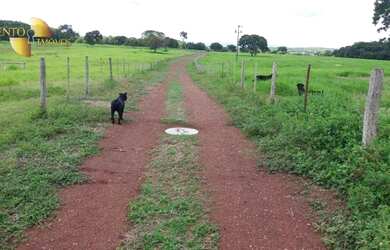 Imagem 5: Fazenda à venda, 3700000 m² por R$ 11.100.000,00 - Zona Rural - Acorizal/MT