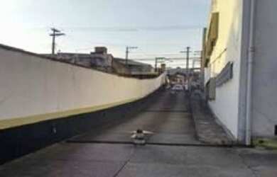 Imagem 14: Galpão - Av. Amador Bueno