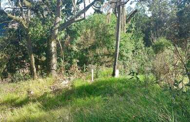 Imagem 4: terreno sao felipe. 1.700.000m² de Área