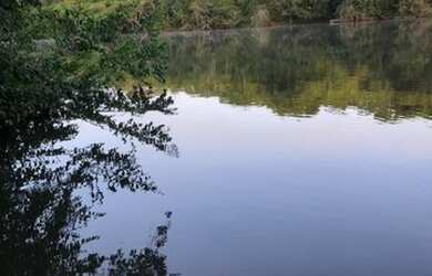 Imagem 3: Área no Manso. 550.000m² de Área