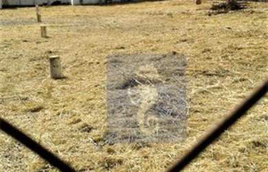 Imagem 5: Terreno para alugar, 500 m² por R$ 5.000,00 - Jardim Palma Travassos...