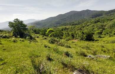 Imagem 16: Sítio à venda por R$ 690.000, 36 hectares, lindas pastegens e nascentes