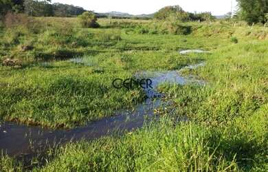 Imagem 11: 1875 Maravilhosa Fazenda De 200 Ha Com Lindo Casarão Antigo E Ótima...