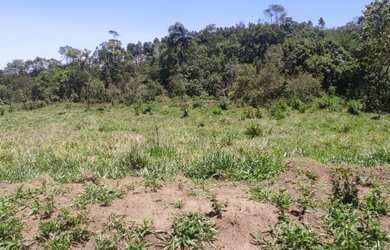 Imagem 3: 5000m² 30,000!!!