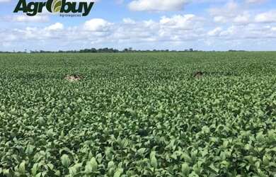 Imagem 4: Fazenda Com 1360 Alq Localizada no Município de Cocalinho-Mt