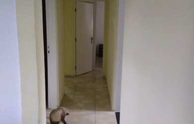 Imagem 15: Casa a venda em Registro- SP