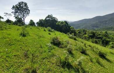 Imagem 11: Sítio à venda por R$ 690.000, 36 hectares, lindas pastegens e nascentes