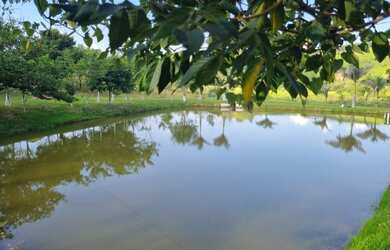 Imagem 5: Terreno de 1000 metros quadrados ótimo investimento para quem investir