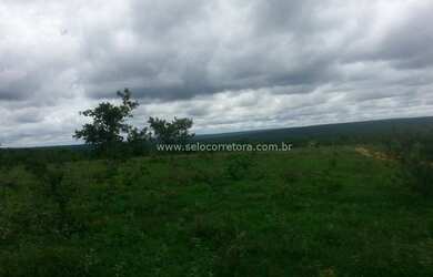 Imagem 13: Ótima Fazenda no Muni. de Itiquira a 150 km de Rondonópolis -MT