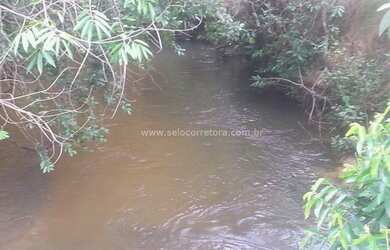 Imagem 16: Ótima Fazenda no Muni. de Itiquira a 150 km de Rondonópolis -MT