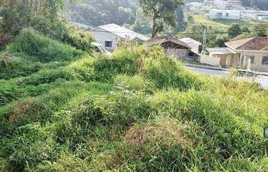 Imagem 9: Terreno à venda, 377 m² por R$ 160.000,00 - Jardim São Pedro - Quatro...