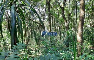 Imagem 13: Área Urbana 6.030m2 Almirante Tamandaré