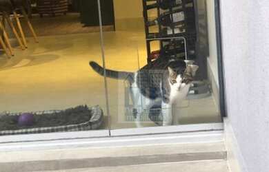 Imagem 11: Casa à venda, 200 m² por R$ 850.000,00 - Jardim Ubirajara Zona Sul -...