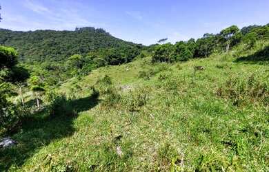 Imagem 10: Sítio à venda por R$ 690.000, 36 hectares, lindas pastegens e nascentes
