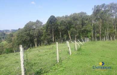 Imagem 9: Chácara com 4 dormitórios à venda, 21514 m² por R$ 1.214.000,00 -...