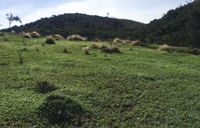 Imagem: O terreno possui 1.000m² de Área e está localizado em Jardim