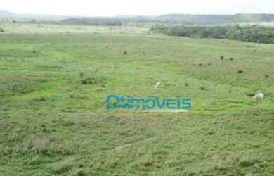 Imagem 2: Fazenda em Paragominas - PA