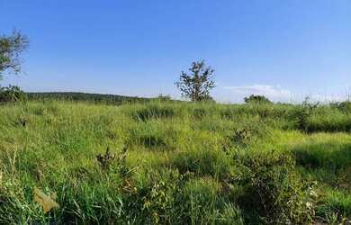 Imagem 3: FAZENDA EM CAMAPUA 15 MIL O HA