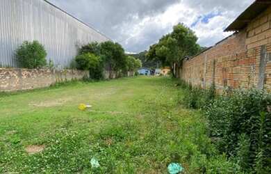 Imagem 9: LOTE NA AVENIDA DE URUBICI