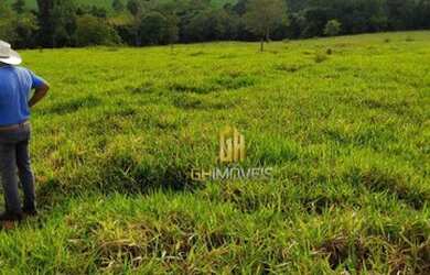 Imagem 12: Sítio à venda, 280784 m² por R$ 1.350.000,00 - Vila República - Goiás/GO