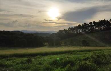 Imagem 13: Lote/Terreno para venda tem 500 metros quadrados em Jardim Palmira - Guarulhos...