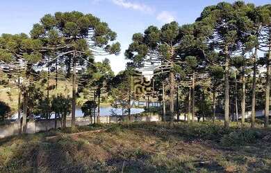 Imagem 15: Terreno à venda, 1001 m² por R$ 500.000,00 - Vila Fuck - Piraquara/PR