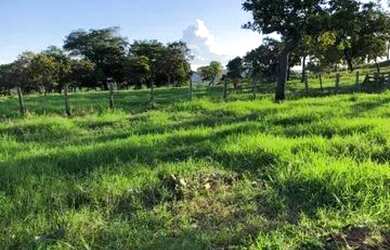 Imagem: A fazenda possui 333m² de Área e está localizado em Monte