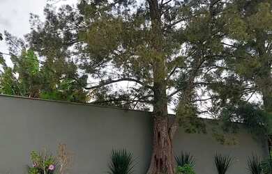 Imagem 5: Lotes em condomínio nobre em Miguel Pereira