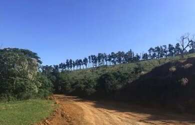 Imagem 3: Viva em meio a natureza - Terreno de 1000 metros quadrados em Mairiporã-...