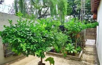 Imagem 12: CASA TÉRREA - JARDIM SANTANA - SP